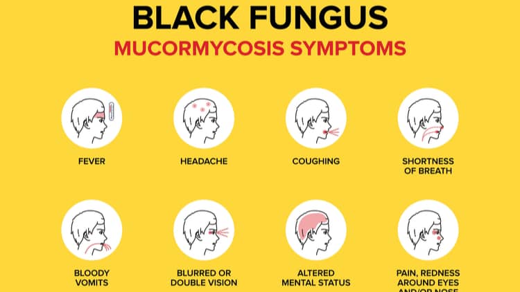 What is the Black Fungus all about?