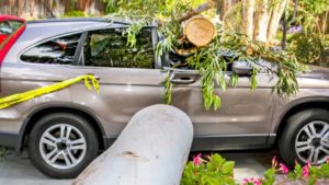 Disadvantages of letting your Car Insurance Lapse in 2022 Disadvantages of letting your Car Insurance Lapse in 2022