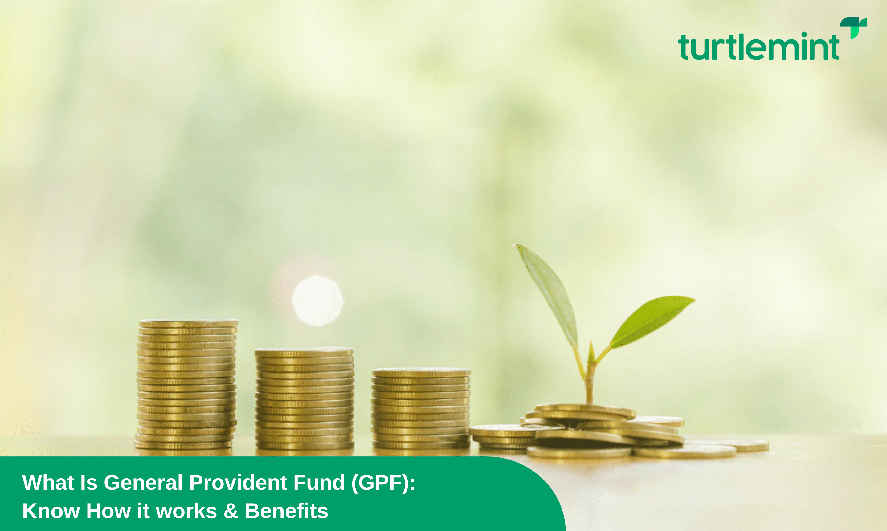 What Is General Provident Fund (GPF): Know How it works & Benefits What Is General Provident Fund (GPF): Know How it works & Benefits