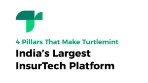 The Four Pillars of Turtlemint The Four Pillars of Turtlemint