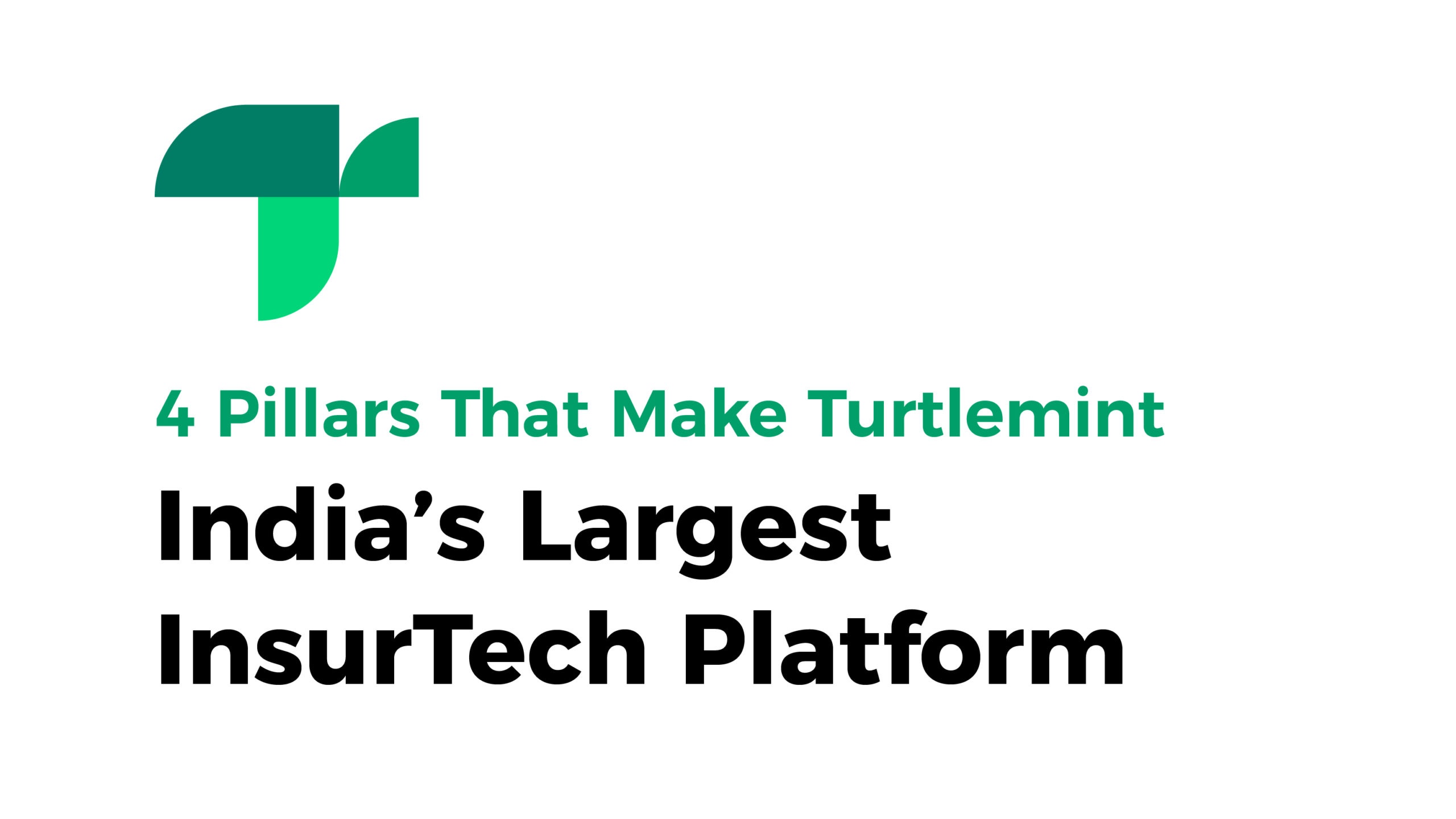 The Four Pillars of Turtlemint The Four Pillars of Turtlemint