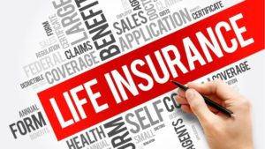 Term life plan or money back plan which one to buy? Term life plan or money back plan which one to buy?